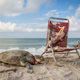 Image for article titled A year’s worth of surprising and poignant nature photos